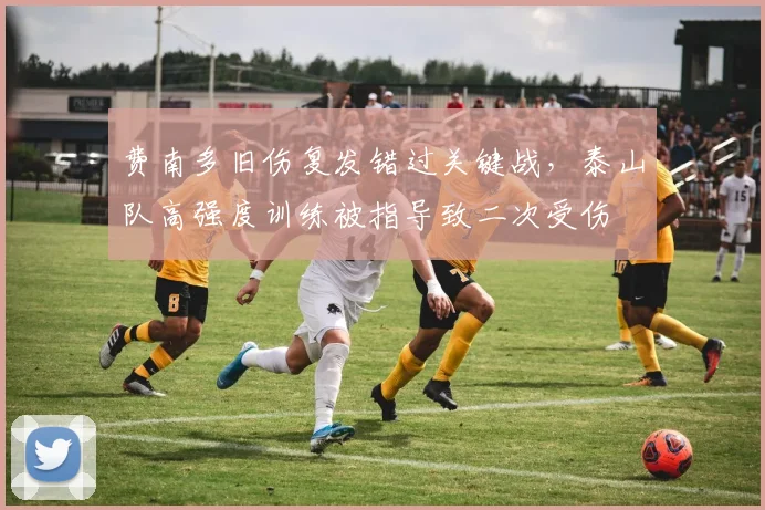 费南多旧伤复发错过关键战,泰山队高强度训练被指导致二次受伤